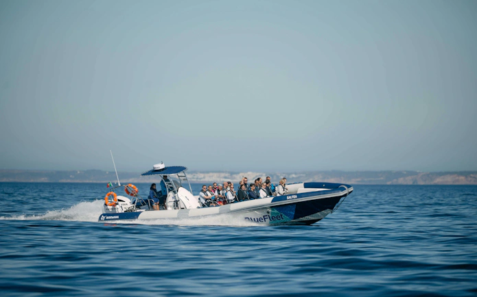Tourists on a boat during a dolphin watching cruise from Lagos, Portugal.
