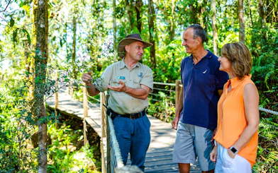 Guide explaining rainforest plants to tourists on Kuranda Scenic Train and Skyrail tour.