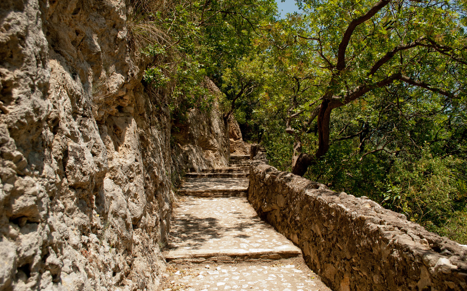 Percorso Moillis in Villa Gregoriana