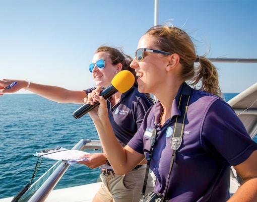 England Aquarium Whale Watching Cruise with guides observing whales in the ocean.