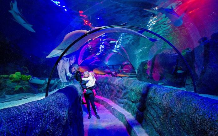 Visitors walking through the Ocean Tunnel at Sea Life Loch Lomond, surrounded by marine life.