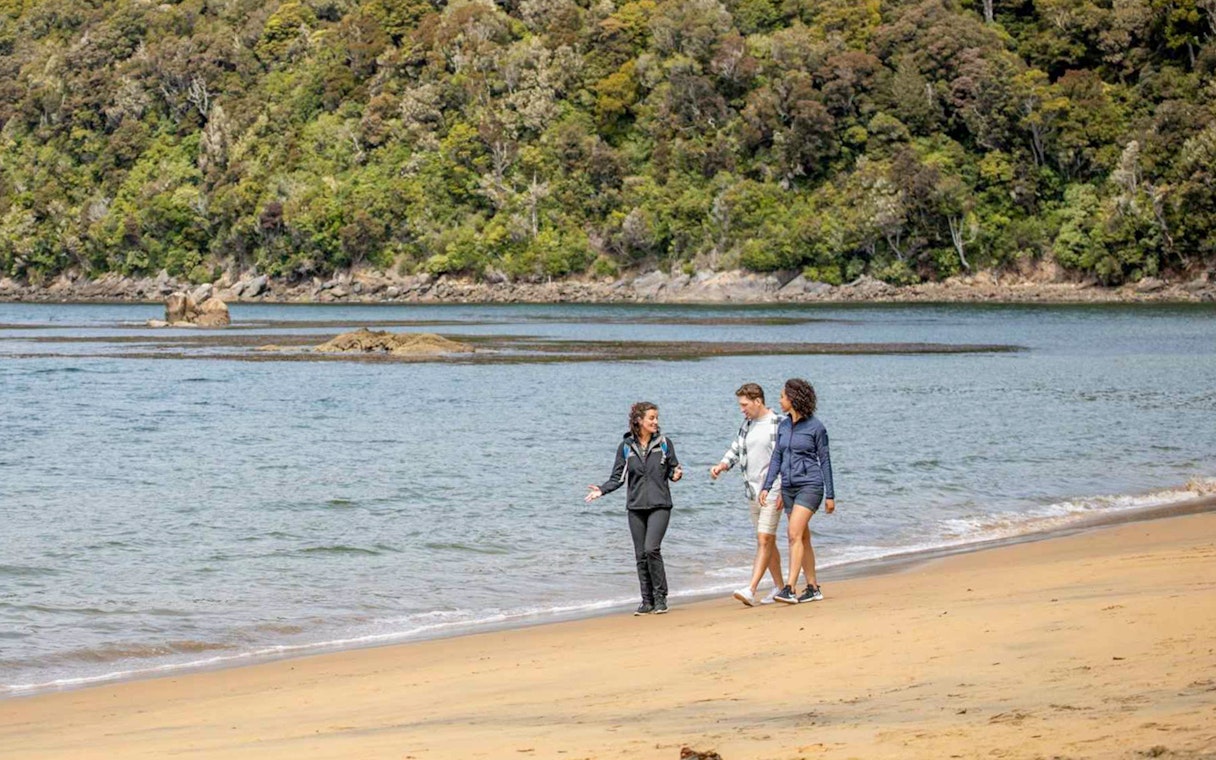 Visitors walking along the beach on Ulva Island with forested backdrop.