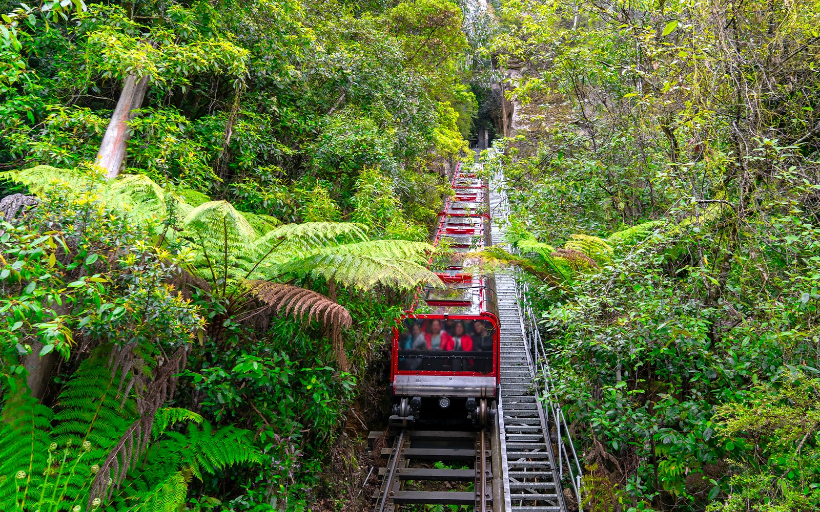 Scenic World tickets
