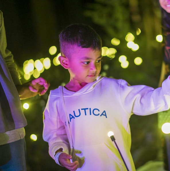 Discover the enchanting tales of Dream Forest Langkawi