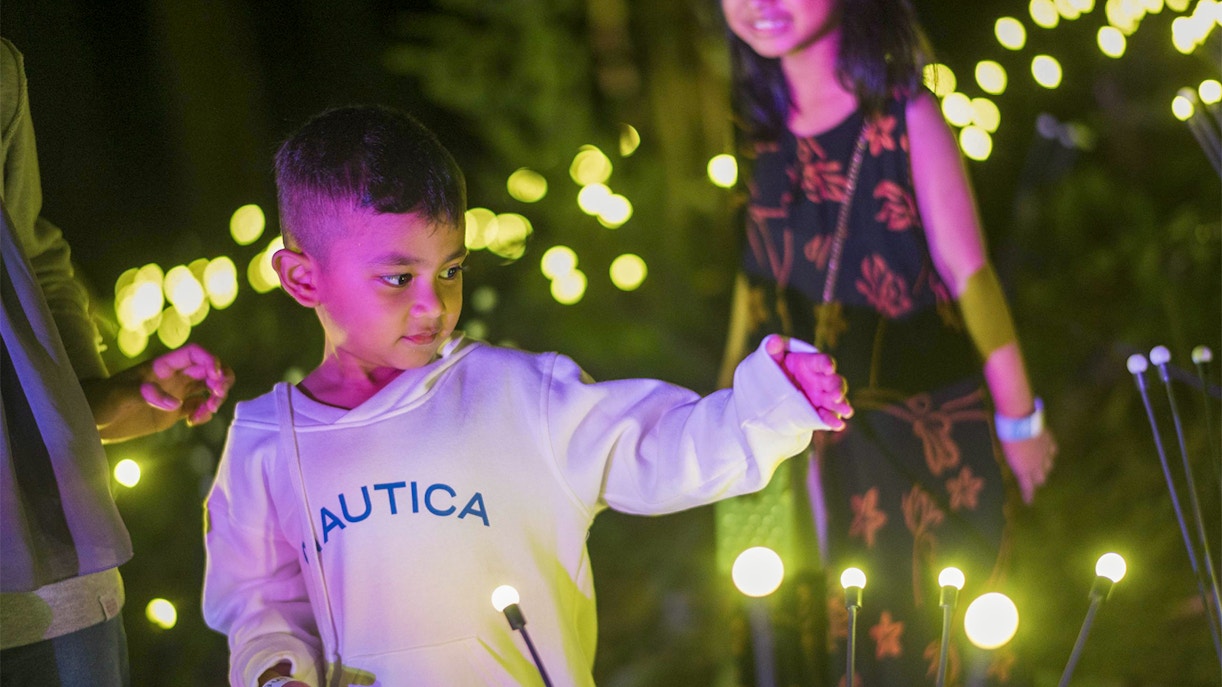 Dream Forest Langkawi