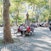 Columbus Park