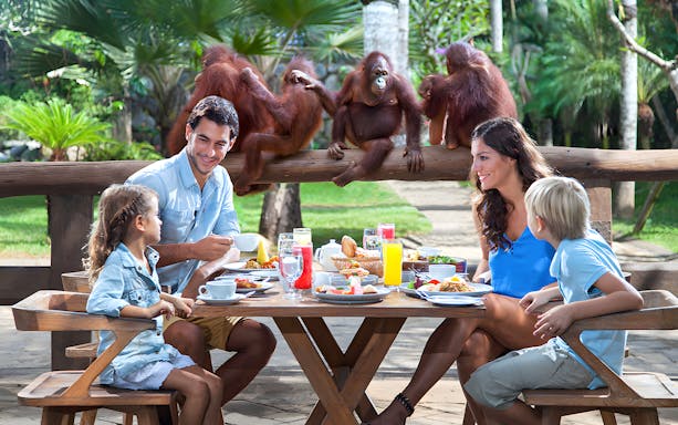 Family having breakfast with orangutans at a Bali zoo.