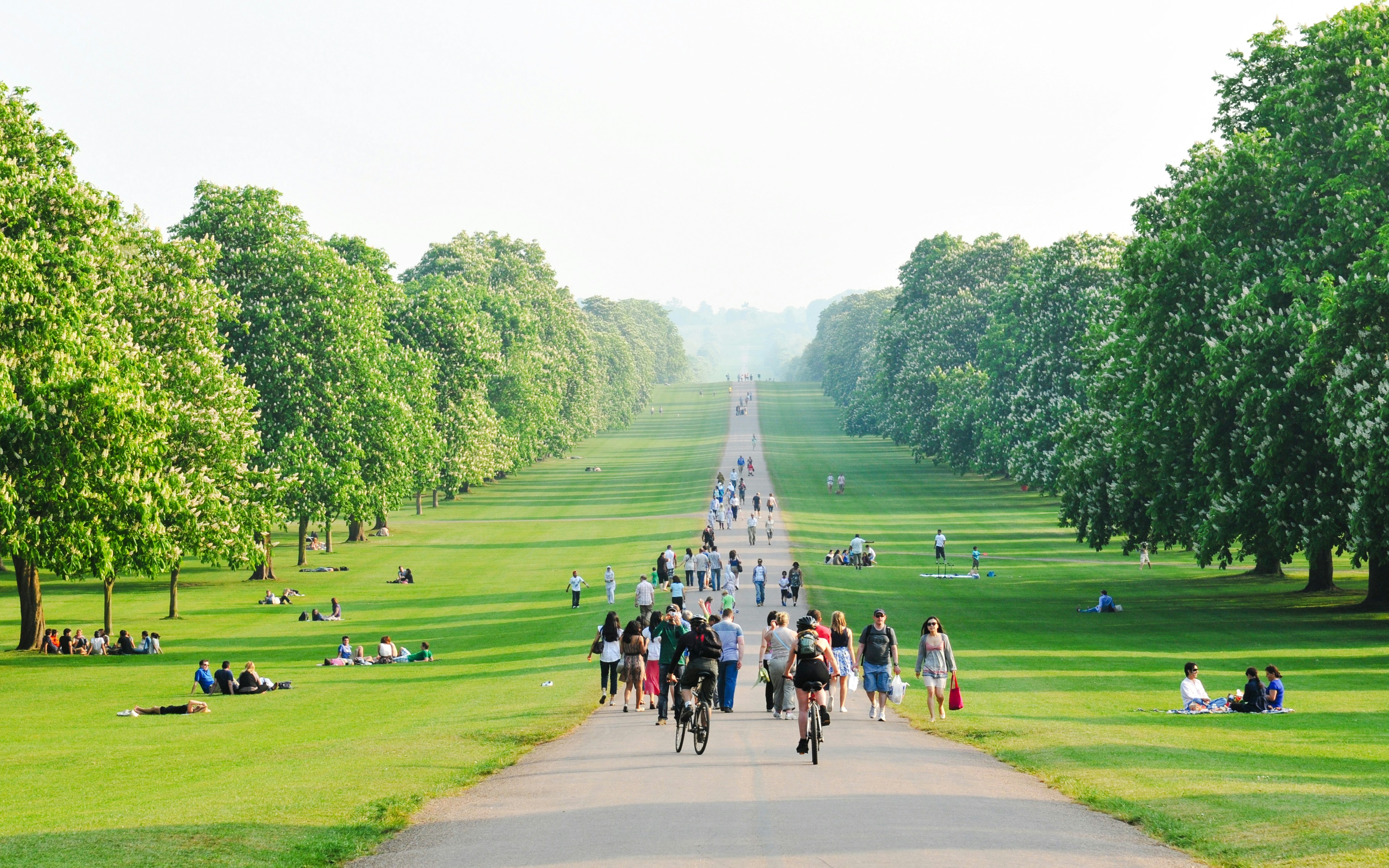 Cyclists and pedestrians on Windsor Long Walk surrounded by lush greenery.