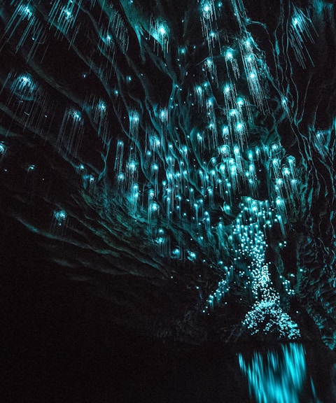 Glowworms illuminating the ceiling of Aranui Cave during a guided tour in New Zealand.