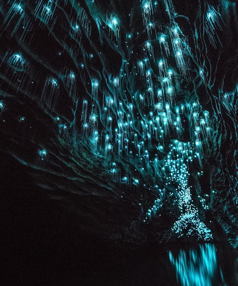 Glowworms illuminating the ceiling of Aranui Cave during a guided tour in New Zealand.