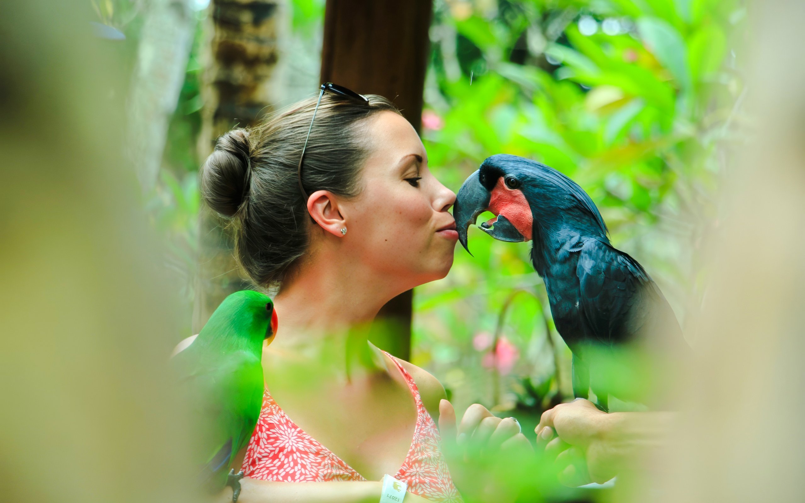 Tourist interacting with a bird at Lombok Wildlife Park.