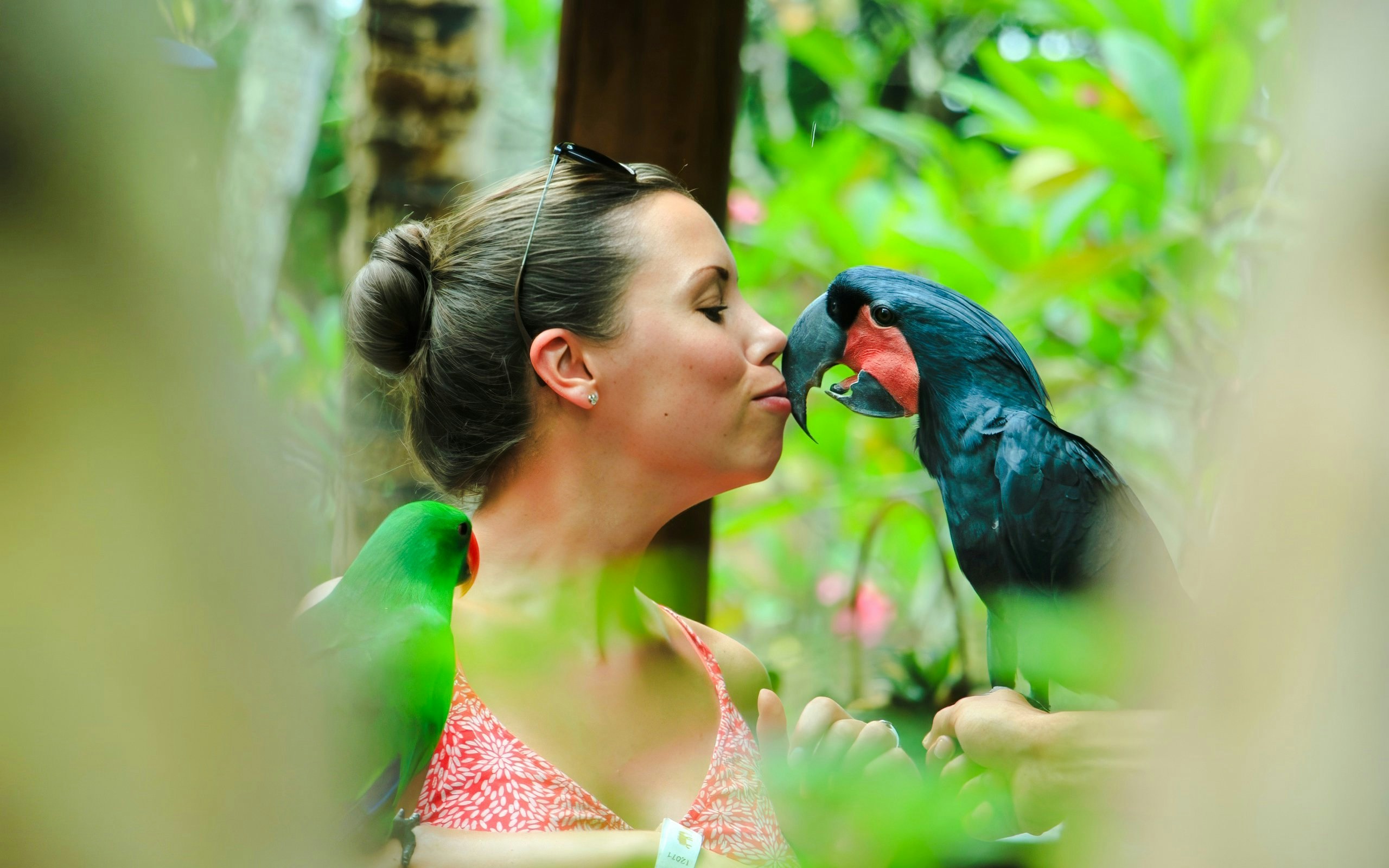 Tourist interacting with a bird at Lombok Wildlife Park.