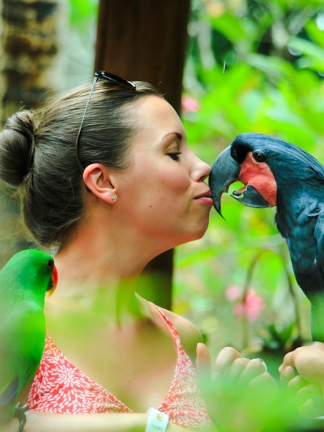 Tourist interacting with a bird at Lombok Wildlife Park.