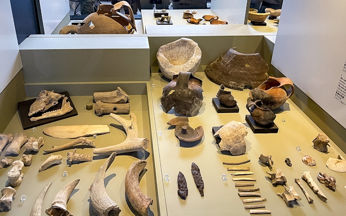 Colosseum Museum artefacts display with ancient pottery, bones, and tools.