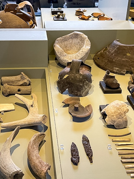 Colosseum Museum artefacts display with ancient pottery, bones, and tools.