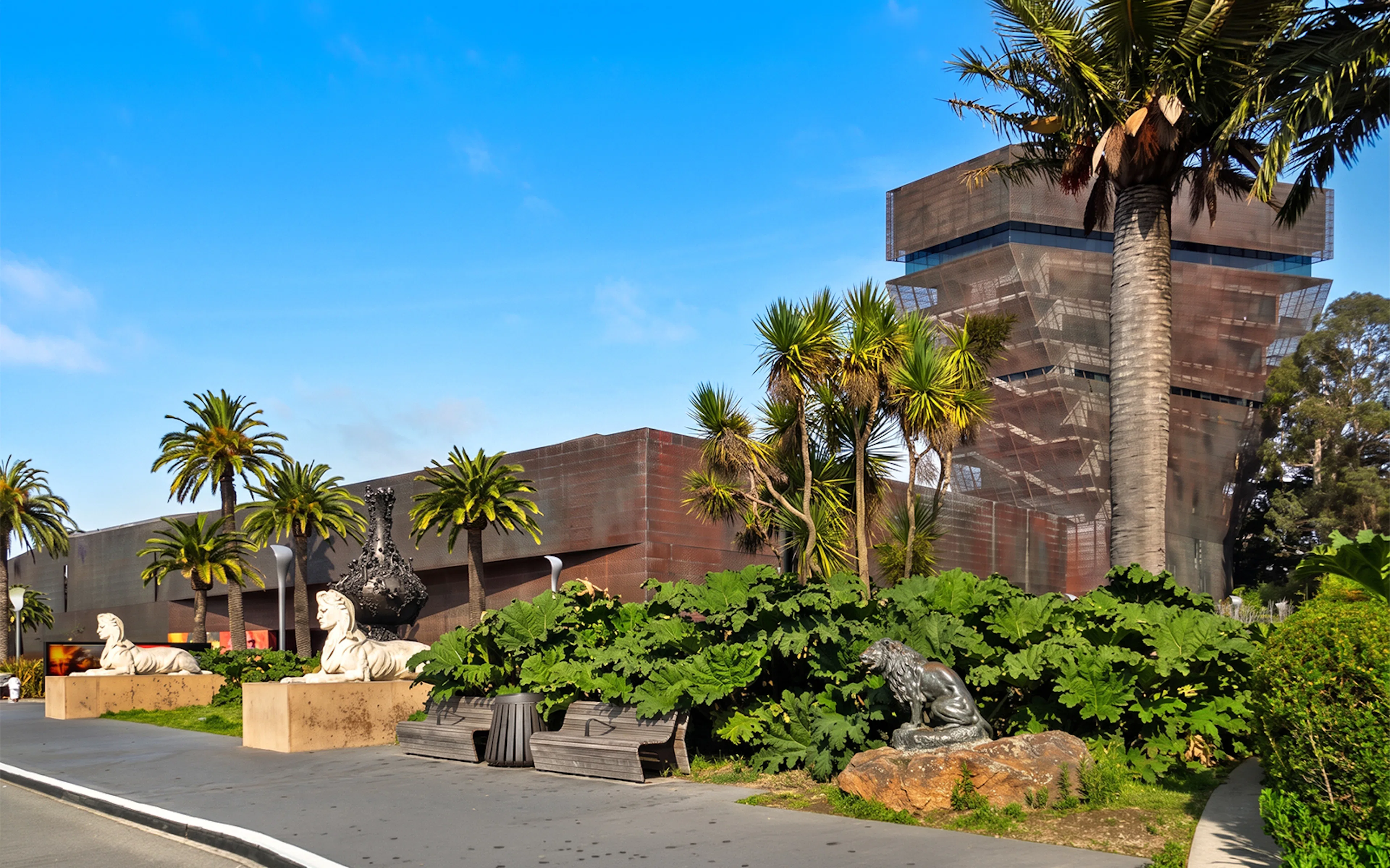 de Young Museum