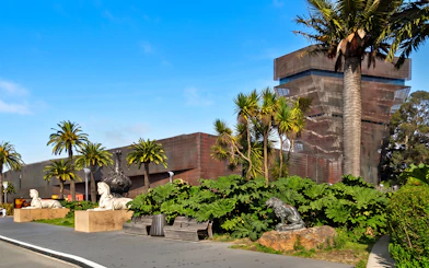 de Young Museum Tour