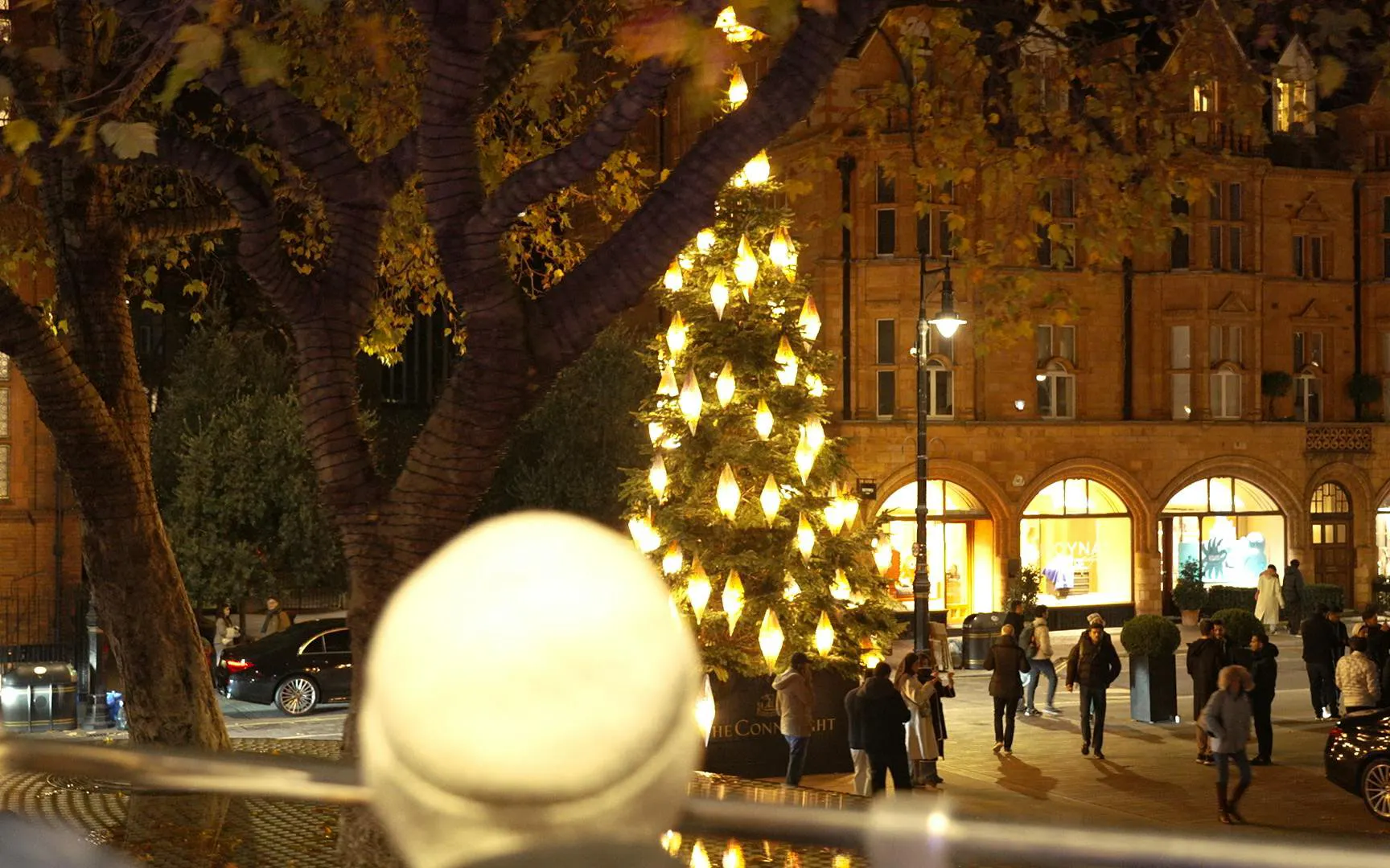 London Christmas lights tour with illuminated tree and street view.