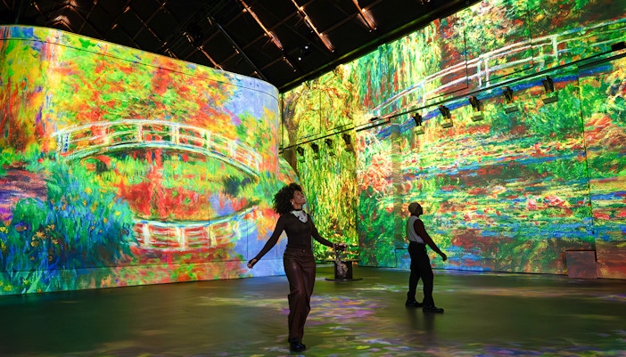 Immersive Monet art projections at Fabrique des Lumières exhibition.