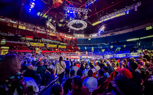 Crowd watching a Lucha Libre wrestling match at Arena Mexico.