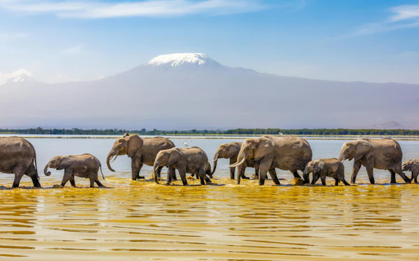 From Nairobi: Overnight Safari to Amboseli National Park