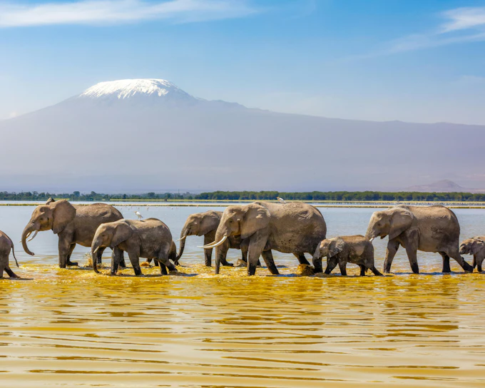 From Nairobi: Overnight Safari to Amboseli National Park