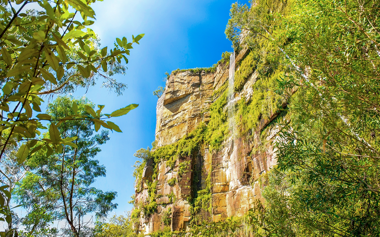 Blue Mountains tickets