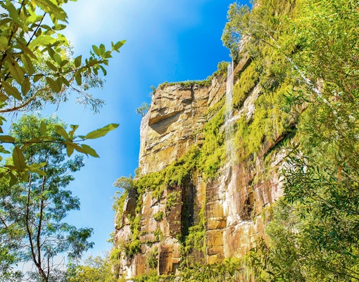 Blue Mountains tickets