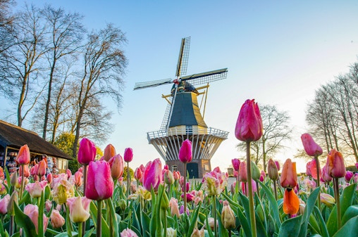 Wejście do Keukenhof z elastycznym transferem z Amsterdamu