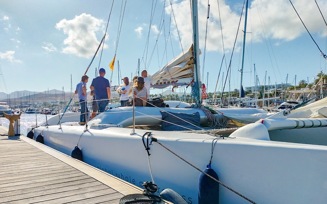 Tourists boarding a boat for a private dolphin watching tour at a marina.