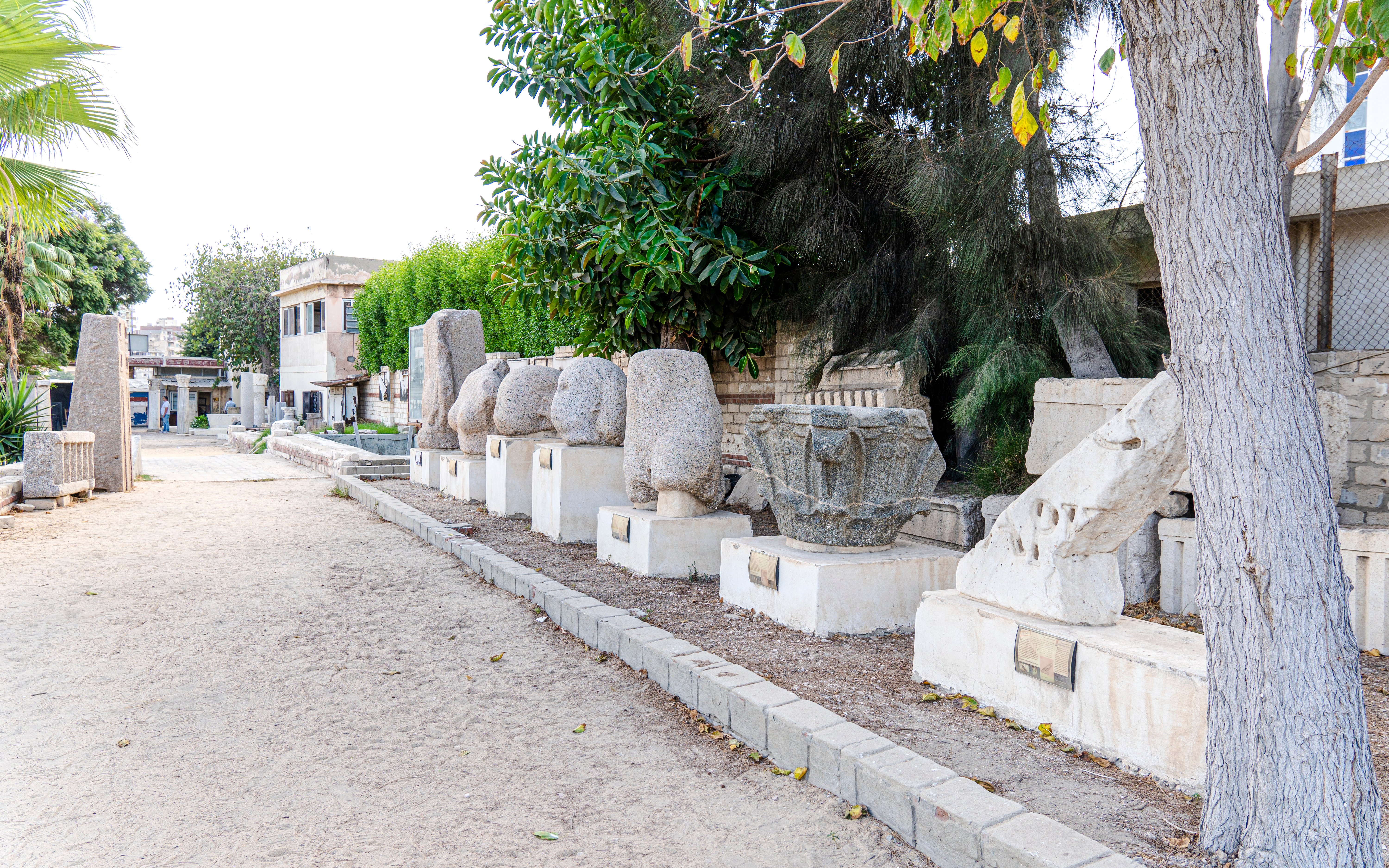 Ancient Roman stone artifacts displayed outdoors in Alexandria, Egypt.