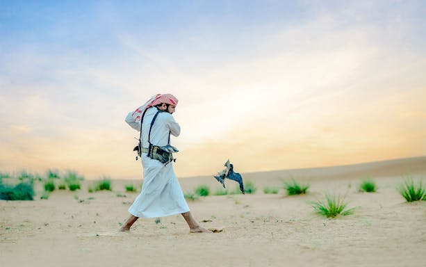 Falconer in desert with falcon during 57 Heritage Desert Safari in Vintage Land Rover.