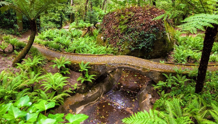 Stone bridge over stream in lush greenery at Park of Pena National Palace, Sintra.