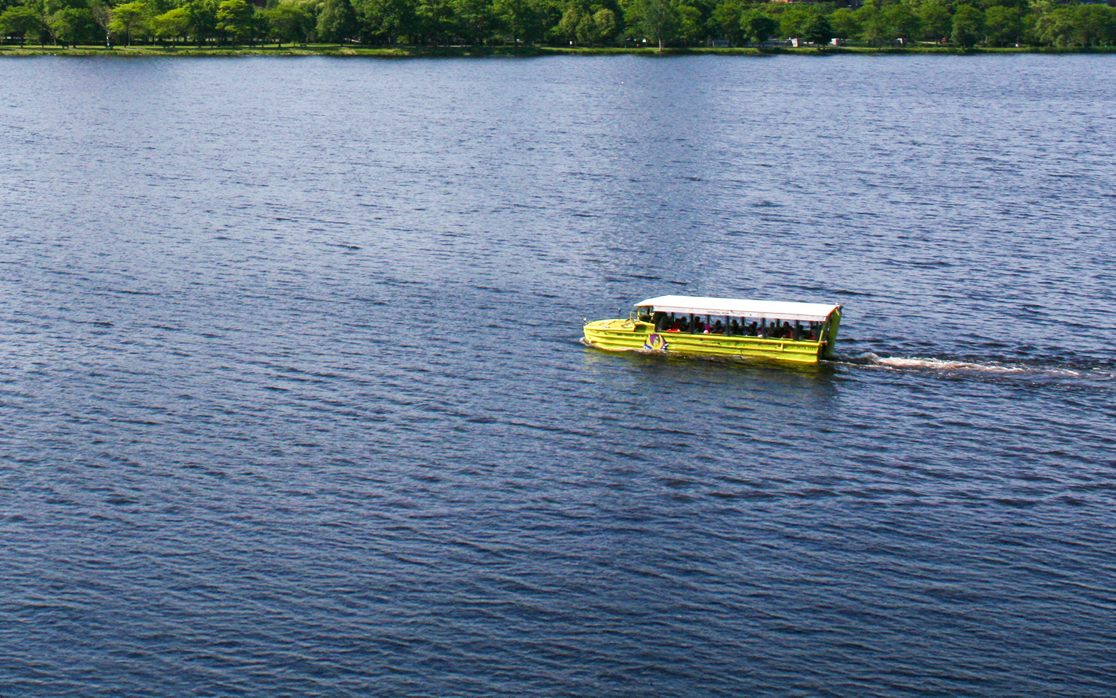 Duck vehicle cruising on a lake with trees in the background.