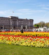 Buckingham Palace