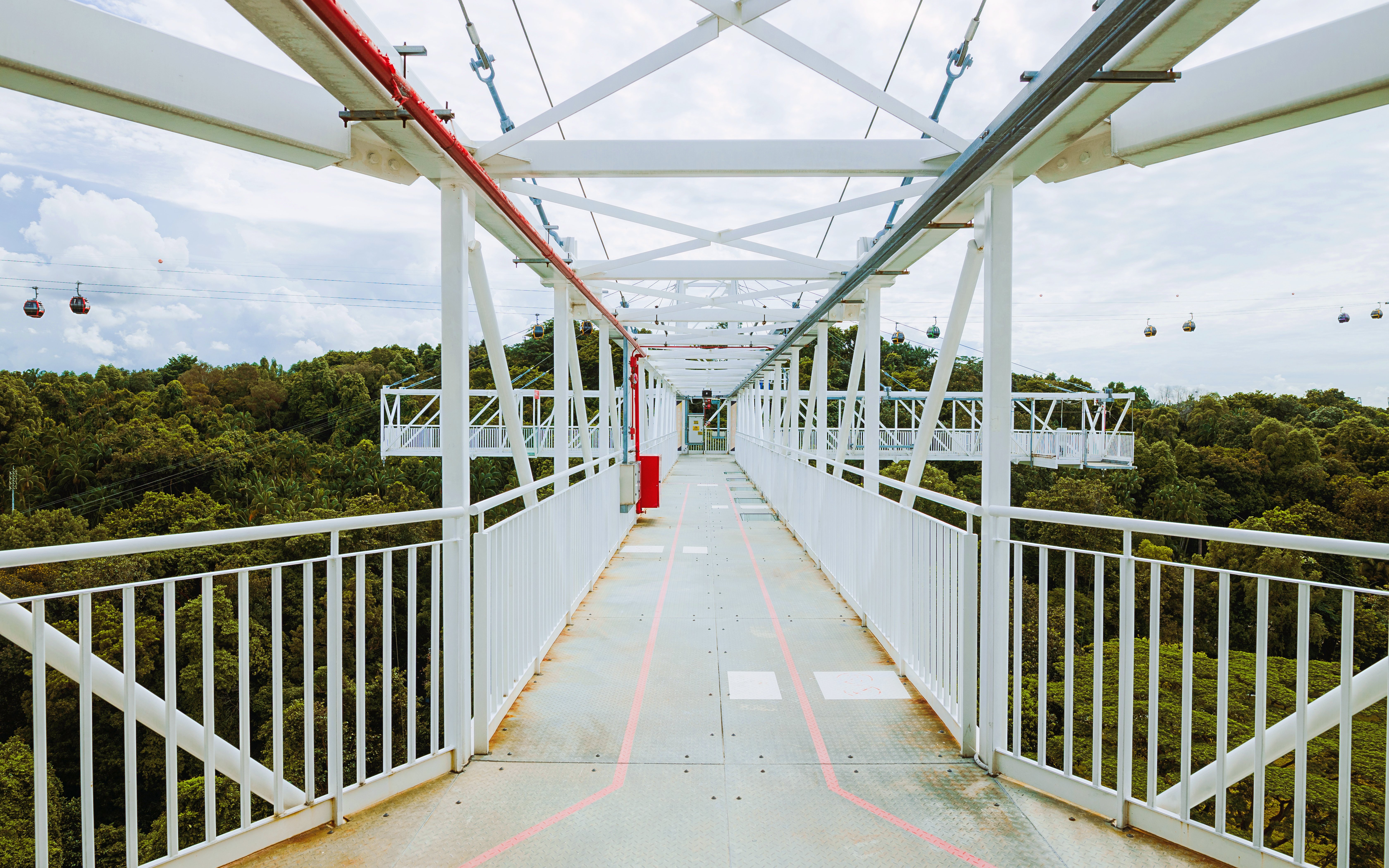 Skybridge at AJ Hackett Sentosa, Singapore, overlooking lush greenery and cable cars.