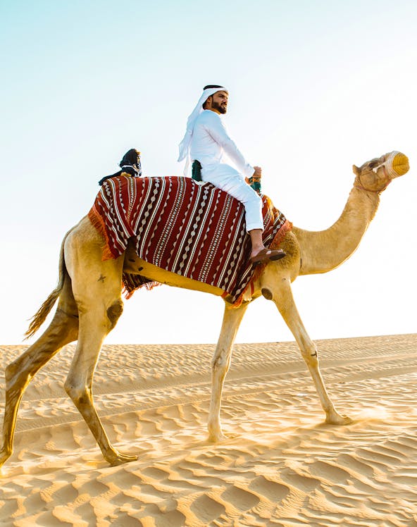 Camel ride in Dubai desert with rider in traditional attire.