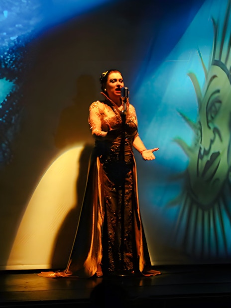 Singer performing at Piazzolla Tango Show in Buenos Aires with Argentine flag backdrop.