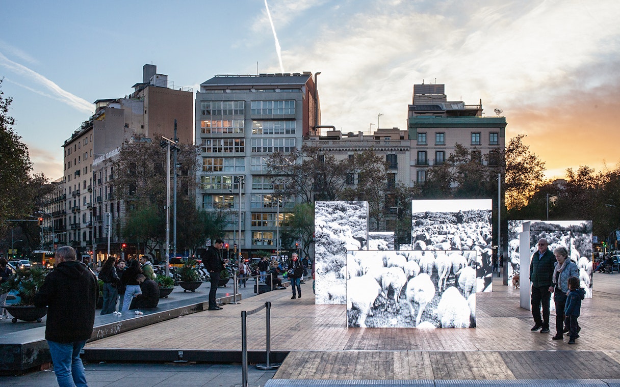 Raval district street scene with illuminated art installation, Barcelona.
