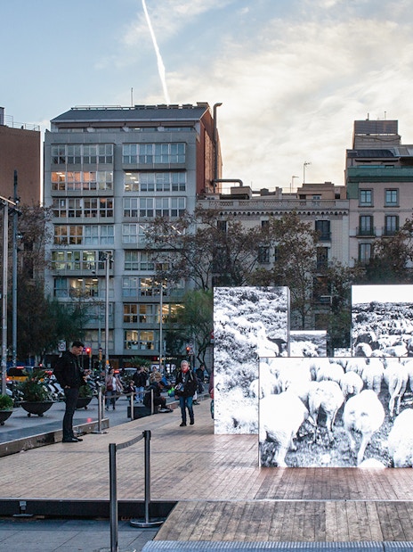 Raval district street scene with illuminated art installation, Barcelona.