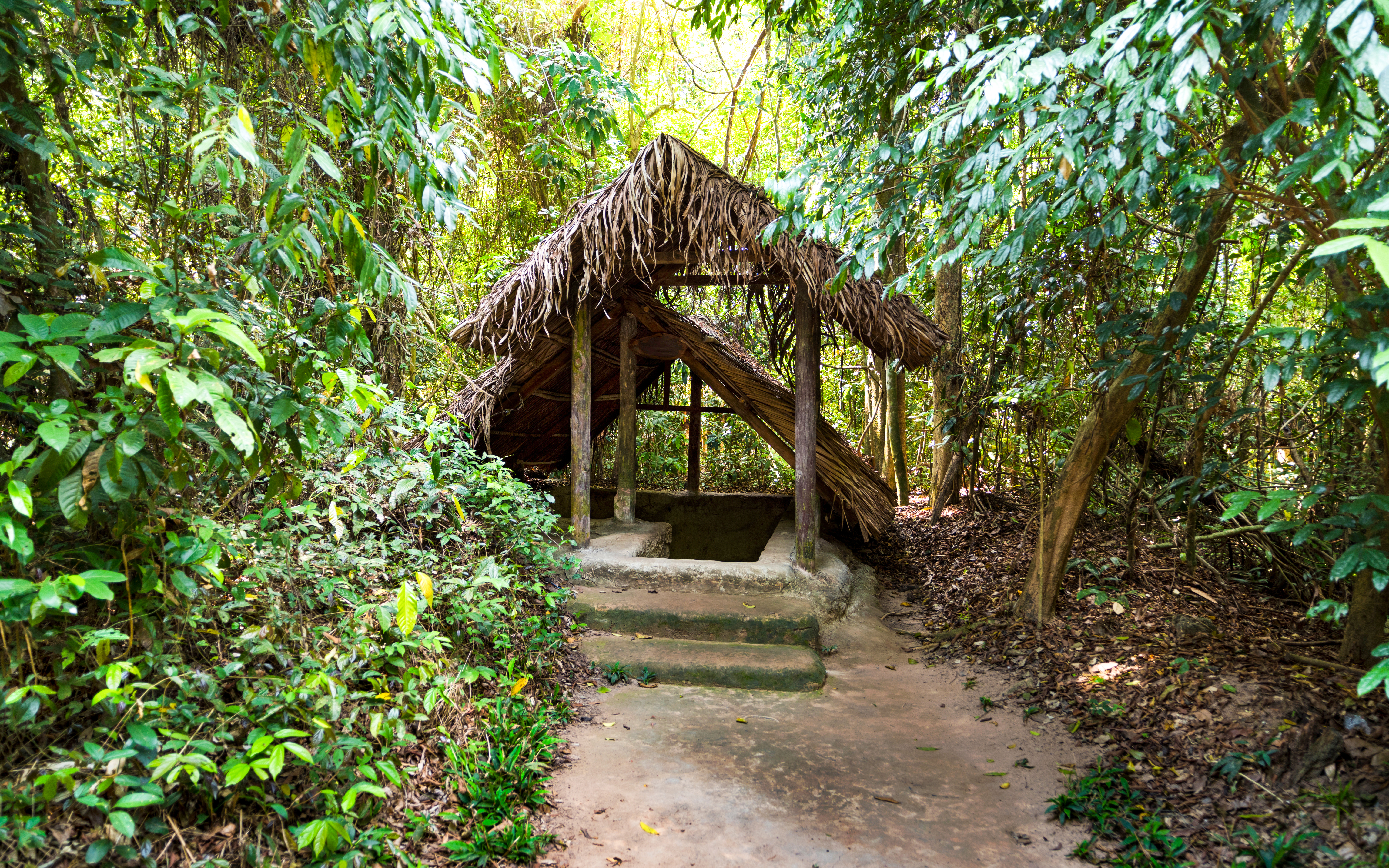 Cu Chi Tunnels entrance in Vietnam surrounded by dense jungle foliage.