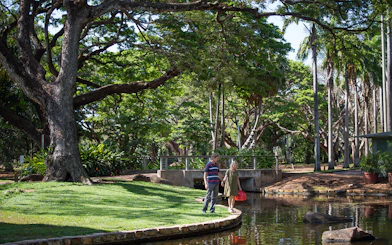 Couple walking by a pond in a lush park during a guided half-day city tour of Darwin.