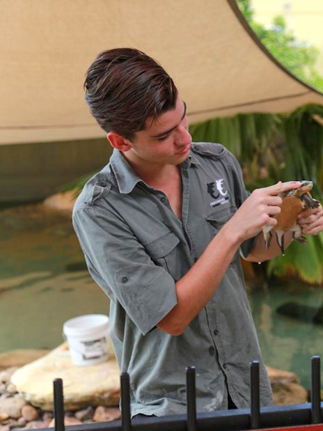 Crocosaurus Cove guide showing a turtle to a visitor near a pond.