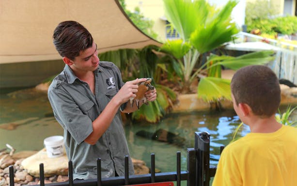 Crocosaurus Cove guide showing a turtle to a visitor near a pond.