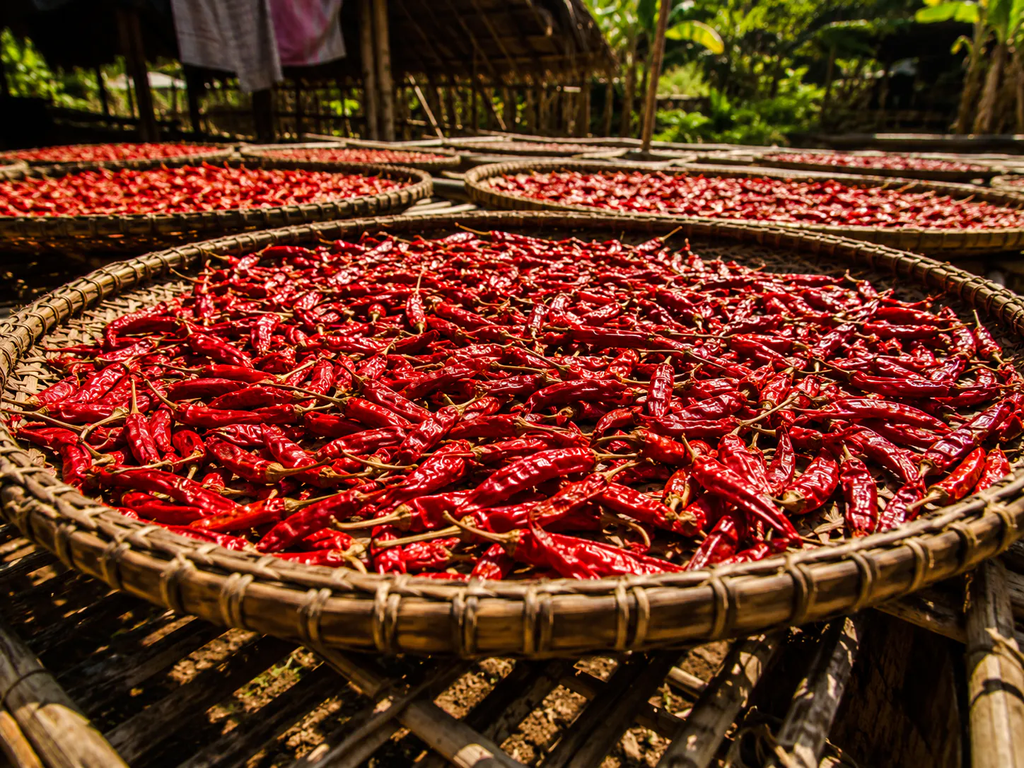 Heritage Spice House Guided Tour With Tasting
