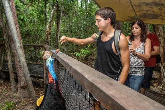 friends in the rainforest package: tickets to kuranda koala gardens and birdworld kuranda-6