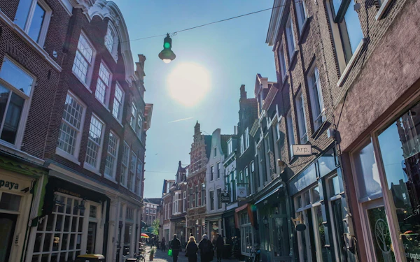 Haarlem: 2-Hour History & Highlights Walking Tour