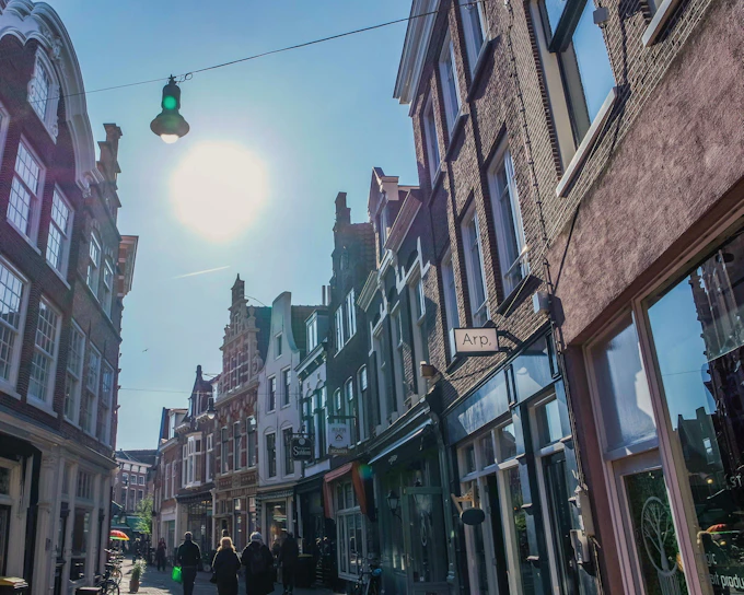 Haarlem: 2-Hour History & Highlights Walking Tour