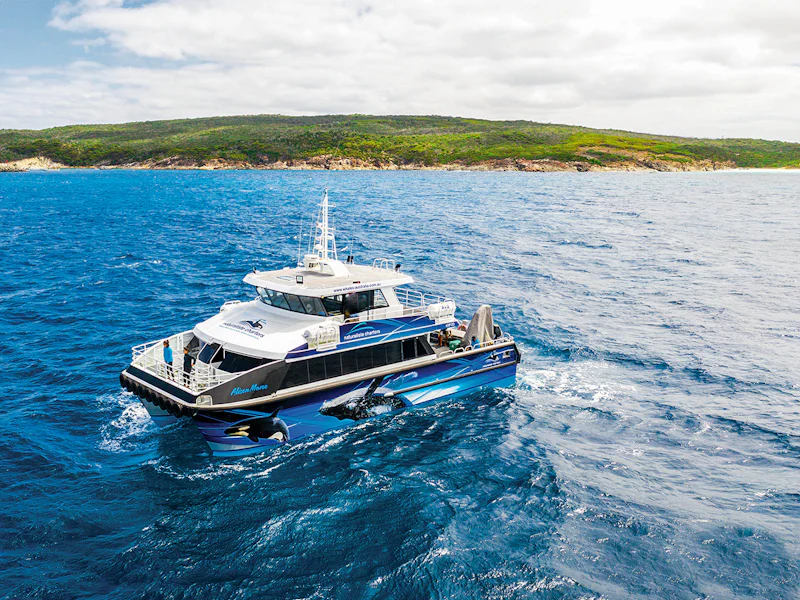 25 Hour Guided Whale Watching Cruise In Augusta - Perth