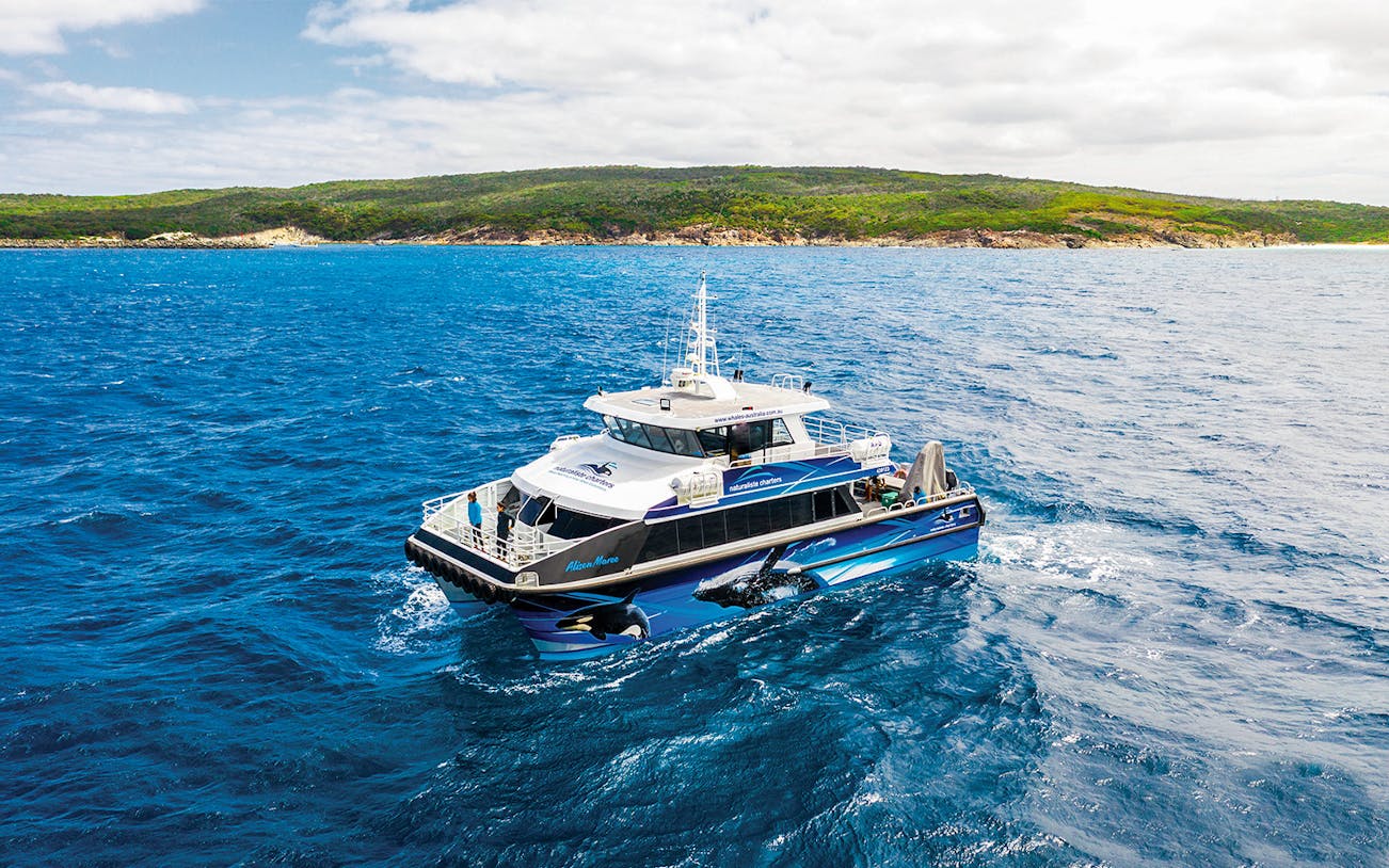 Boat on whale watching tour in Dunsborough waters with coastal landscape in background.
